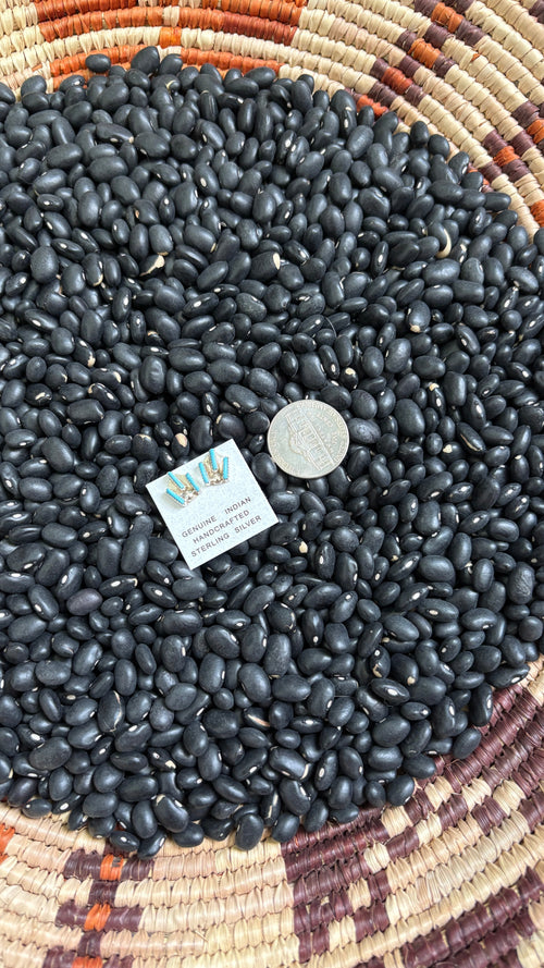 3 STONE MINI NEEDLEPOINT TURQUOISE ZUNI STUDS